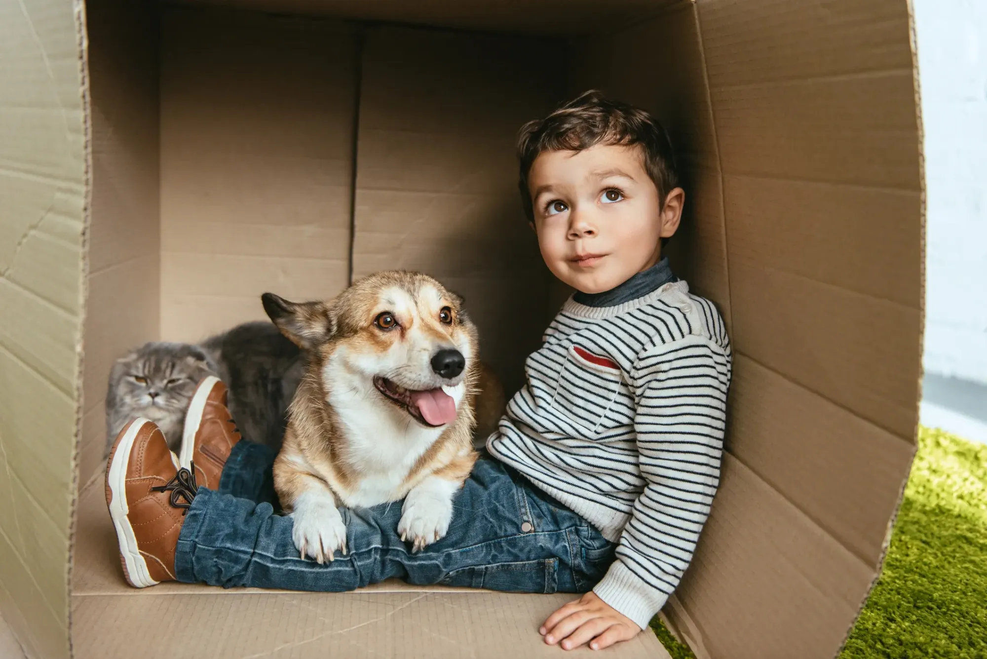 A young boy and his corgi sitting together in a cardboard box